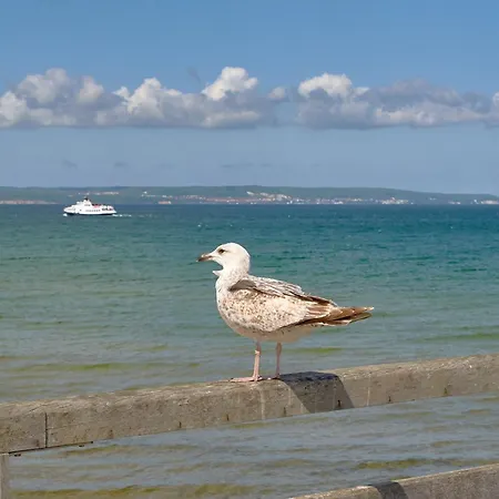 Seeadler - 619 Διαμέρισμα Binz
